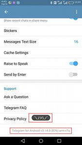 telegram android3 169x300 منوی مخفی تلگرام برای حل مشکلات