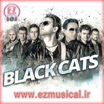 Black Cats - Mobham